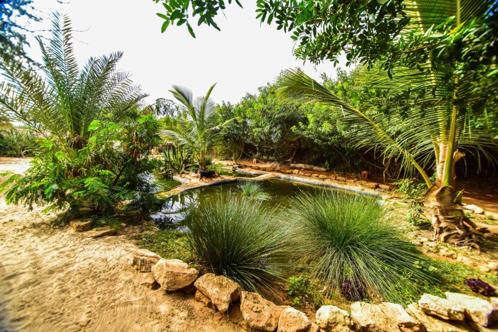 Dar Tawarta Guest House Dakhla Zewnętrze zdjęcie