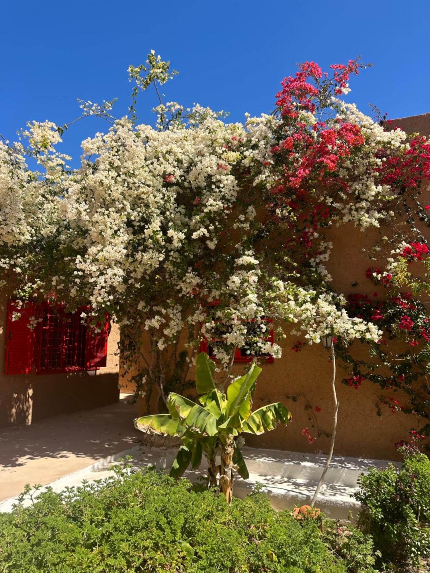 Dar Tawarta Guest House Dakhla Zewnętrze zdjęcie