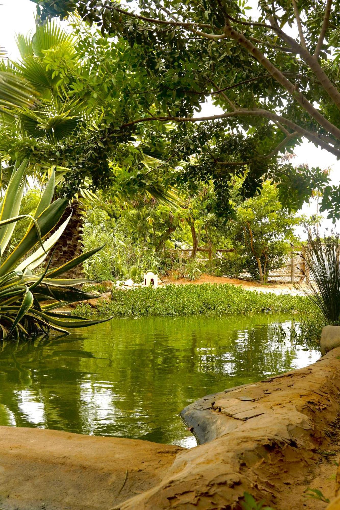 Dar Tawarta Guest House Dakhla Zewnętrze zdjęcie