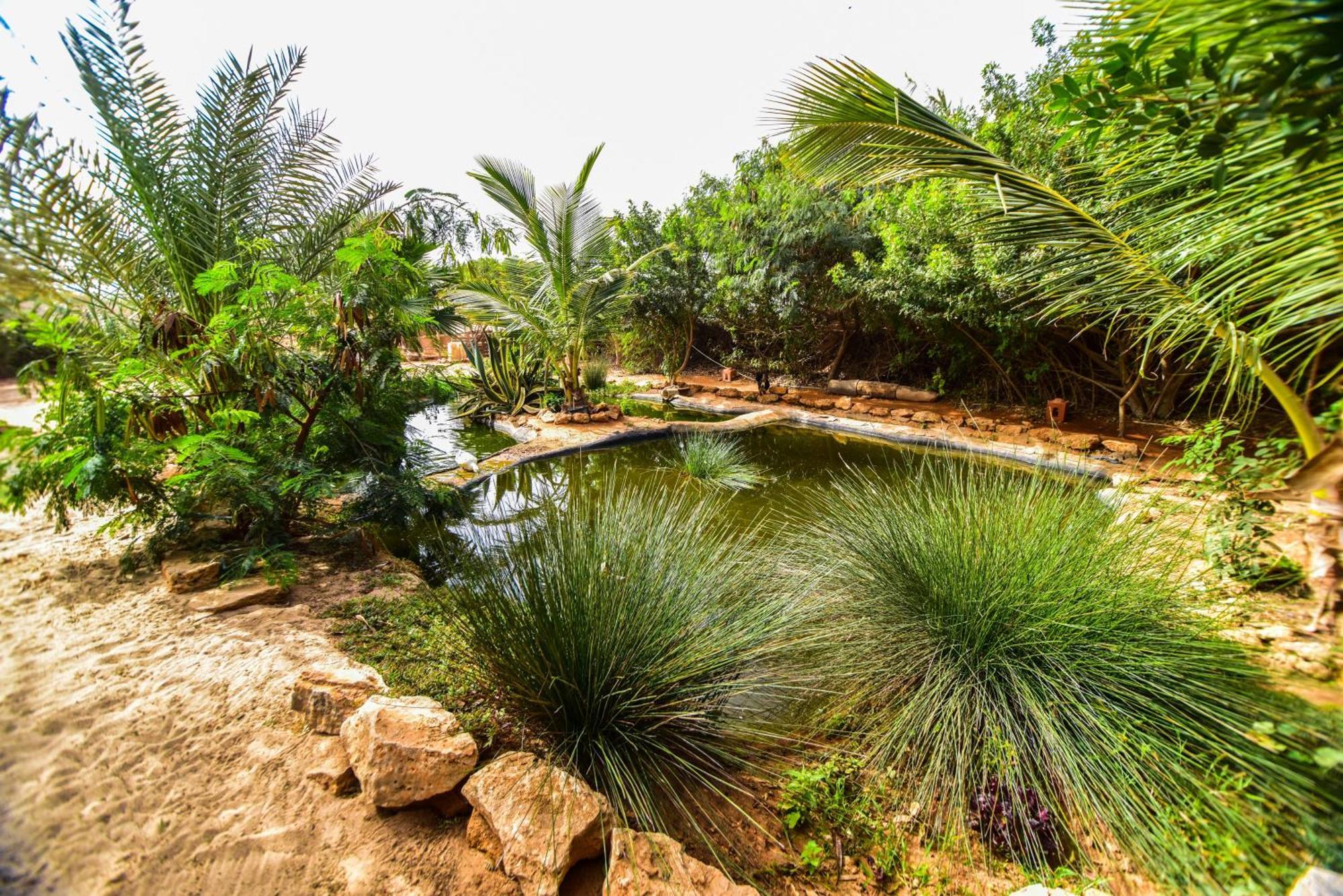 Dar Tawarta Guest House Dakhla Zewnętrze zdjęcie
